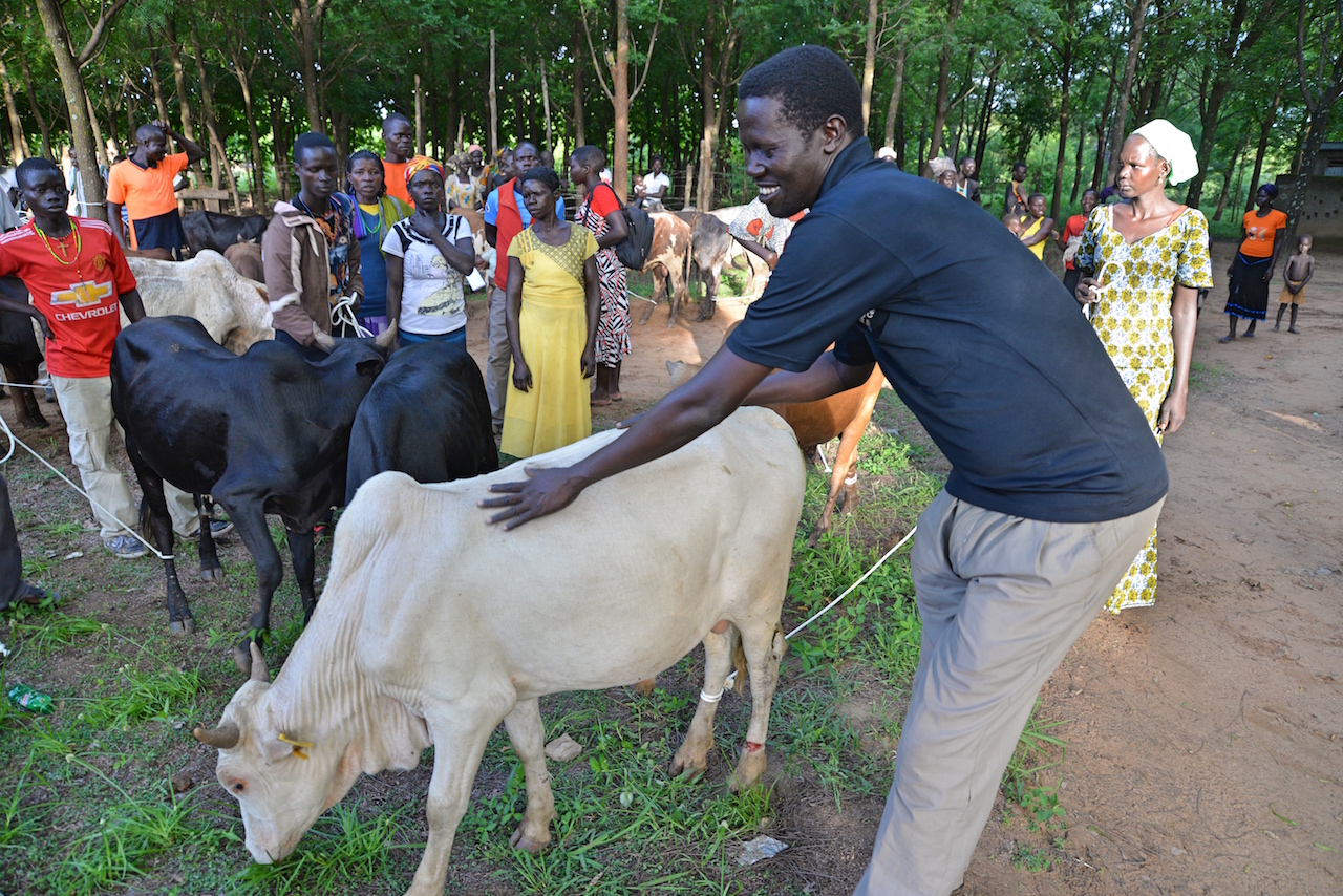 Farming As A Business In Refugee Communities | World Vision International