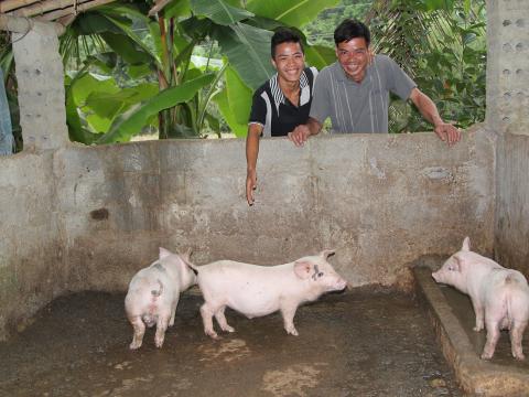 A father and son admire their pigs in their farm