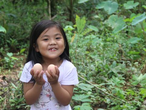 Livelihoods hero photo - girl holding eggs