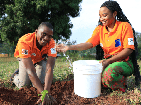 Youth who are part of the Social Accountability for Environmental and Climate Sustainability  group in Ghana help plant trees