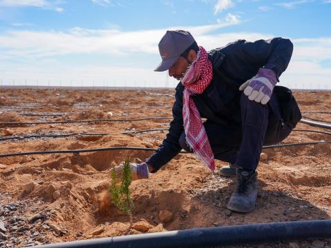 Jameel* taking care of one of the plants planted