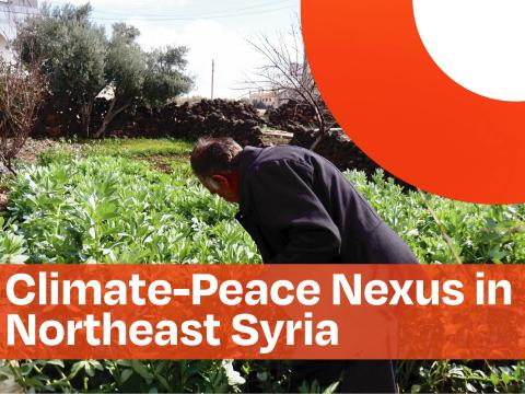 Climate-Peace Nexus in Northeast Syria