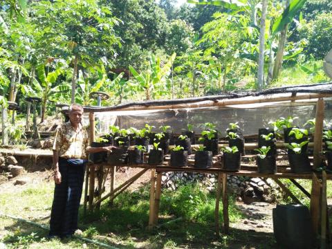 Bapak Jony stands in front of his home garden. Bapak Jony stands in front of his home garden.