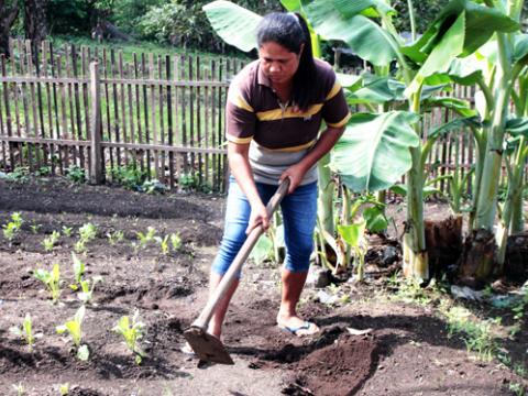 Communal Garden for Education