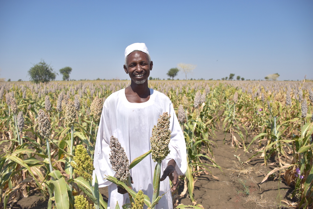 Sudan’s farmers produce bumper harvests through EUfunded agriculture