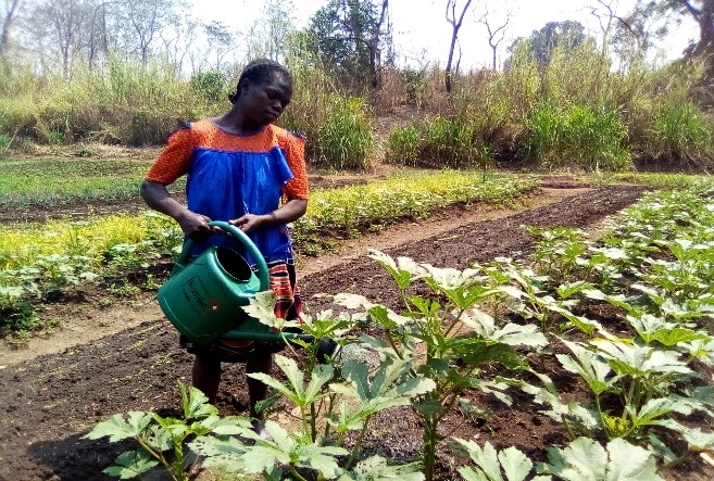 Vegetables bring life, create better conditions for internally