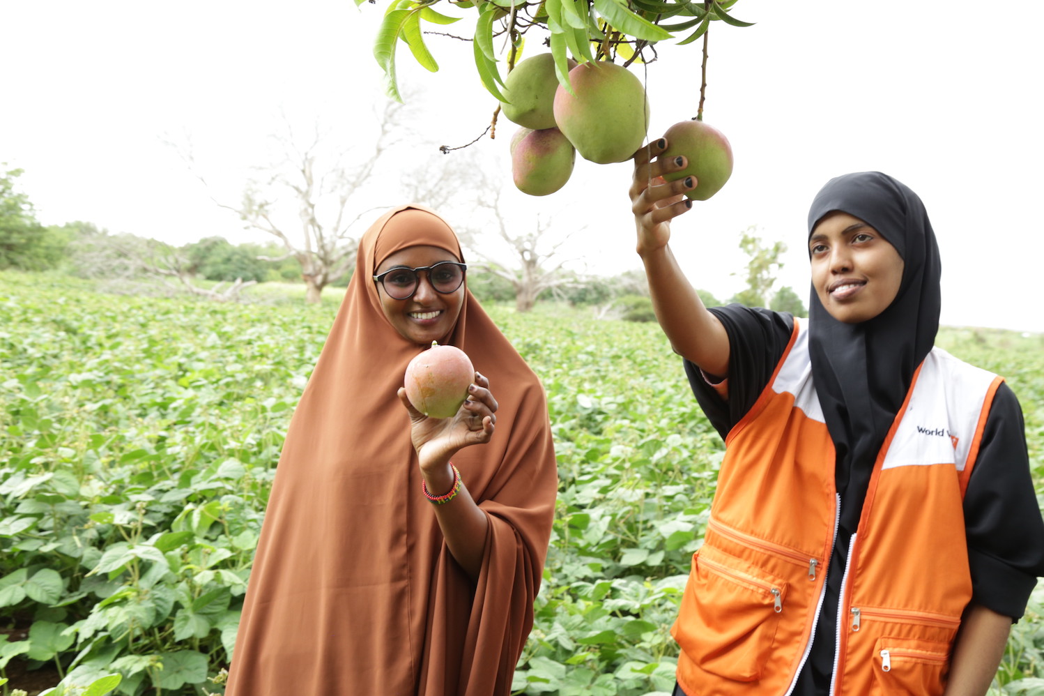 Diversification helps communities to tackle malnutrition and beat the ...