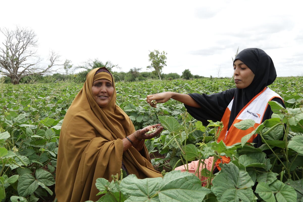 Climate Change and farming in Kenya. | Hunger- Women Empowerment ...