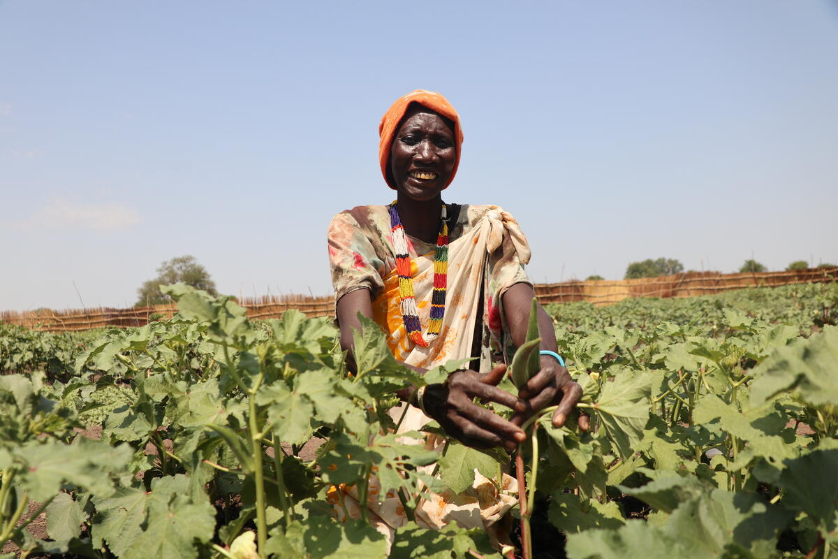 Food and Agriculture Organization of the United Nations | Our Partners ...