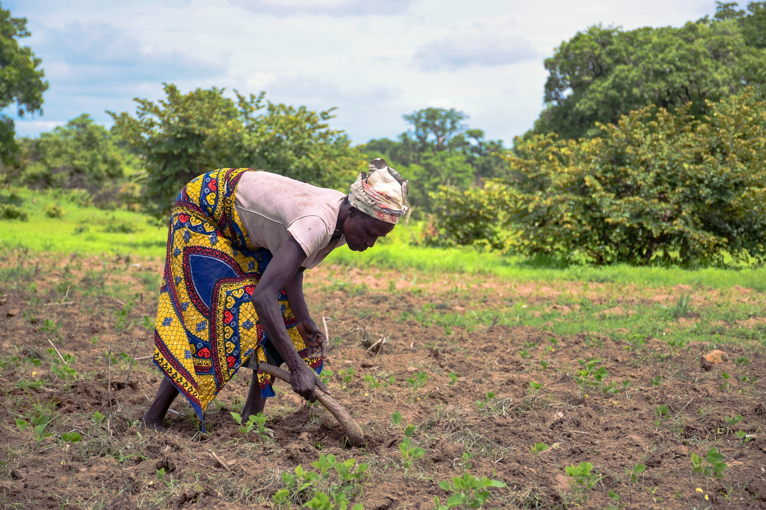 Livelihood Improvement and Family Empowerment (LIFE) Programme | Ghana ...