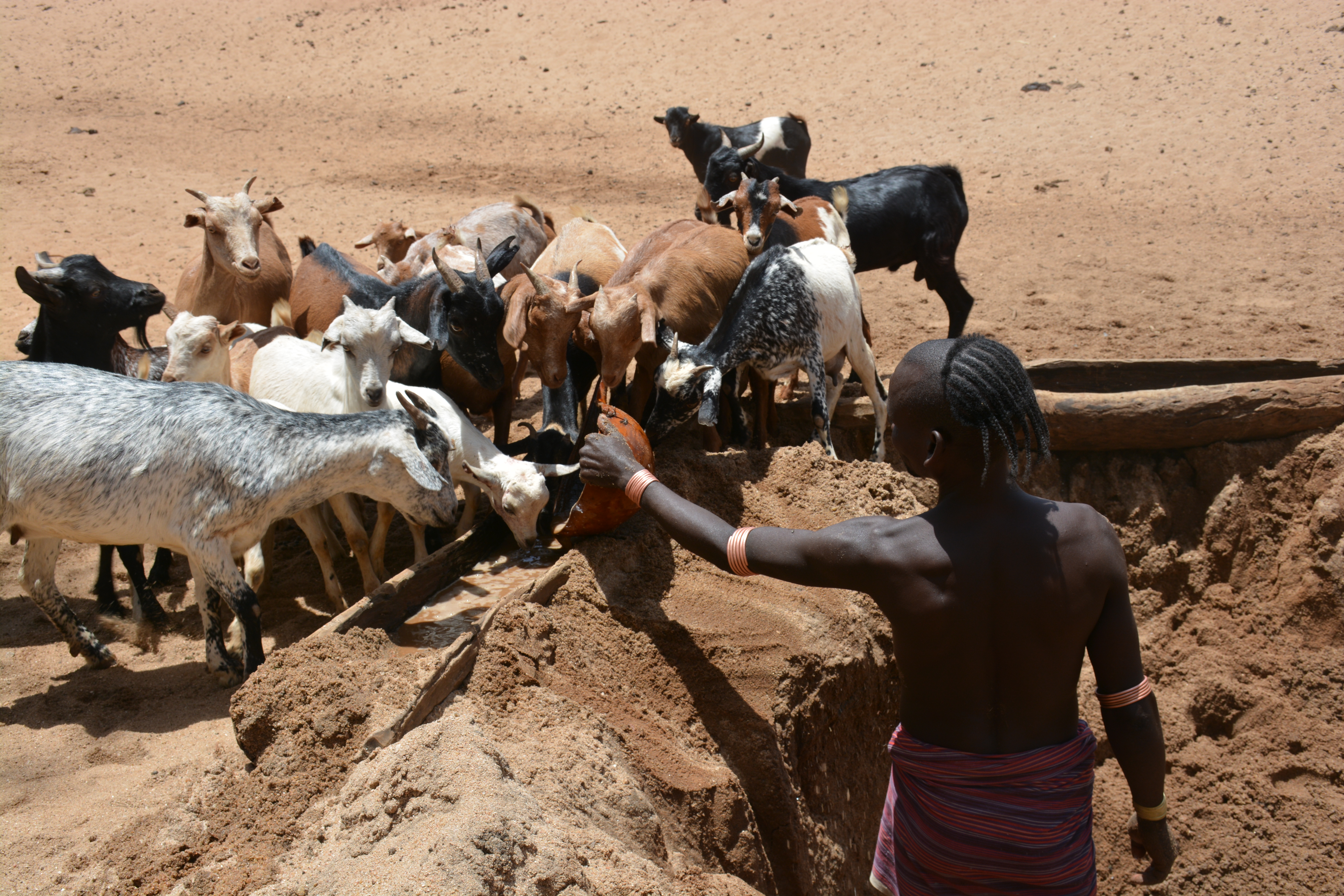 The new woes of Ethiopian pastoralists | Ethiopia | World Vision ...