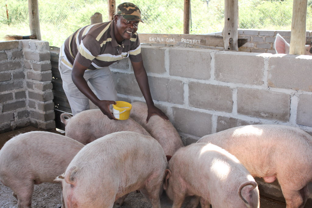 Piggery Project Restores Dignity South Africa World Vision International