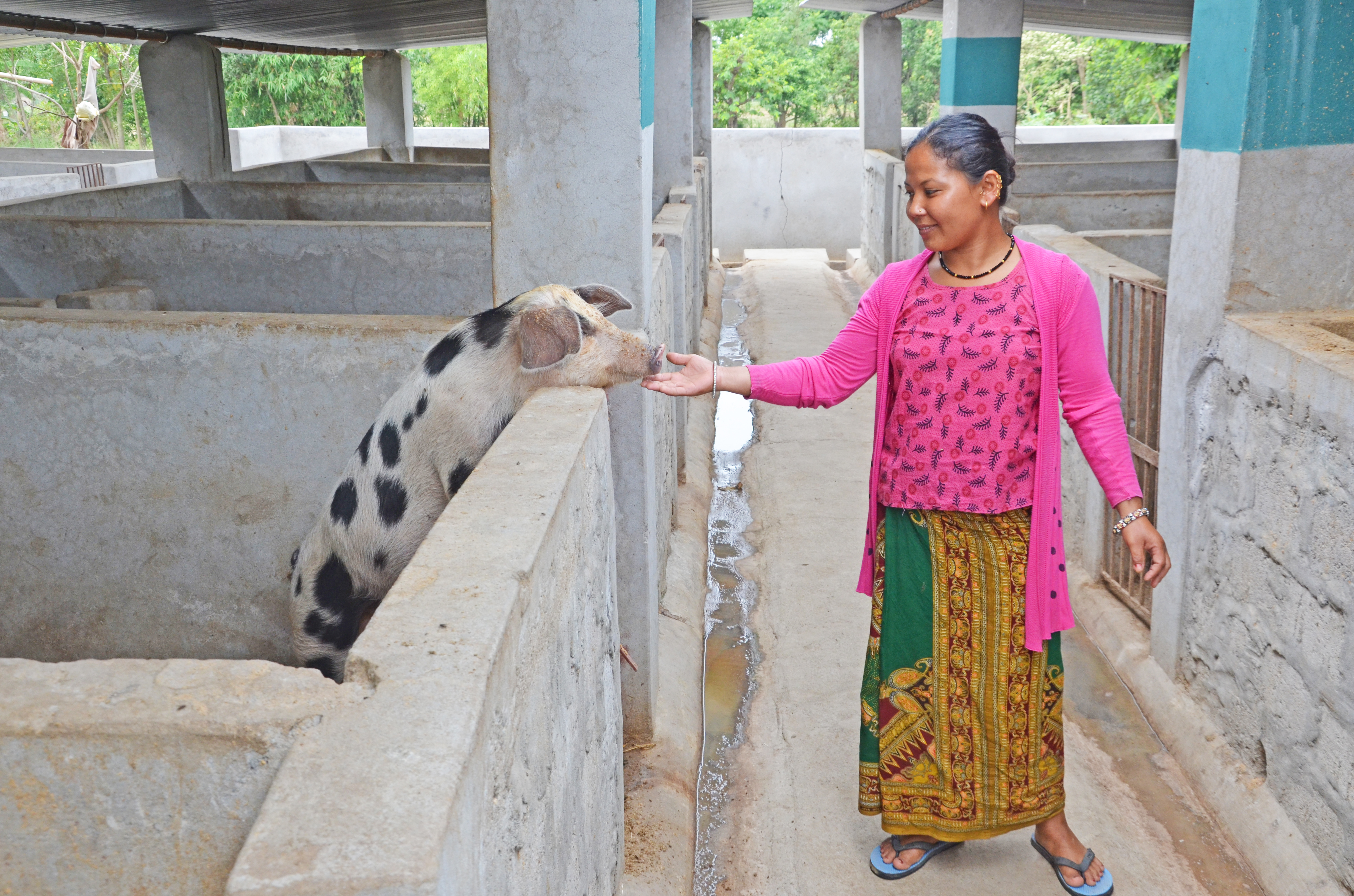 Pig rearing for a better tomorrow | Nepal | World Vision International