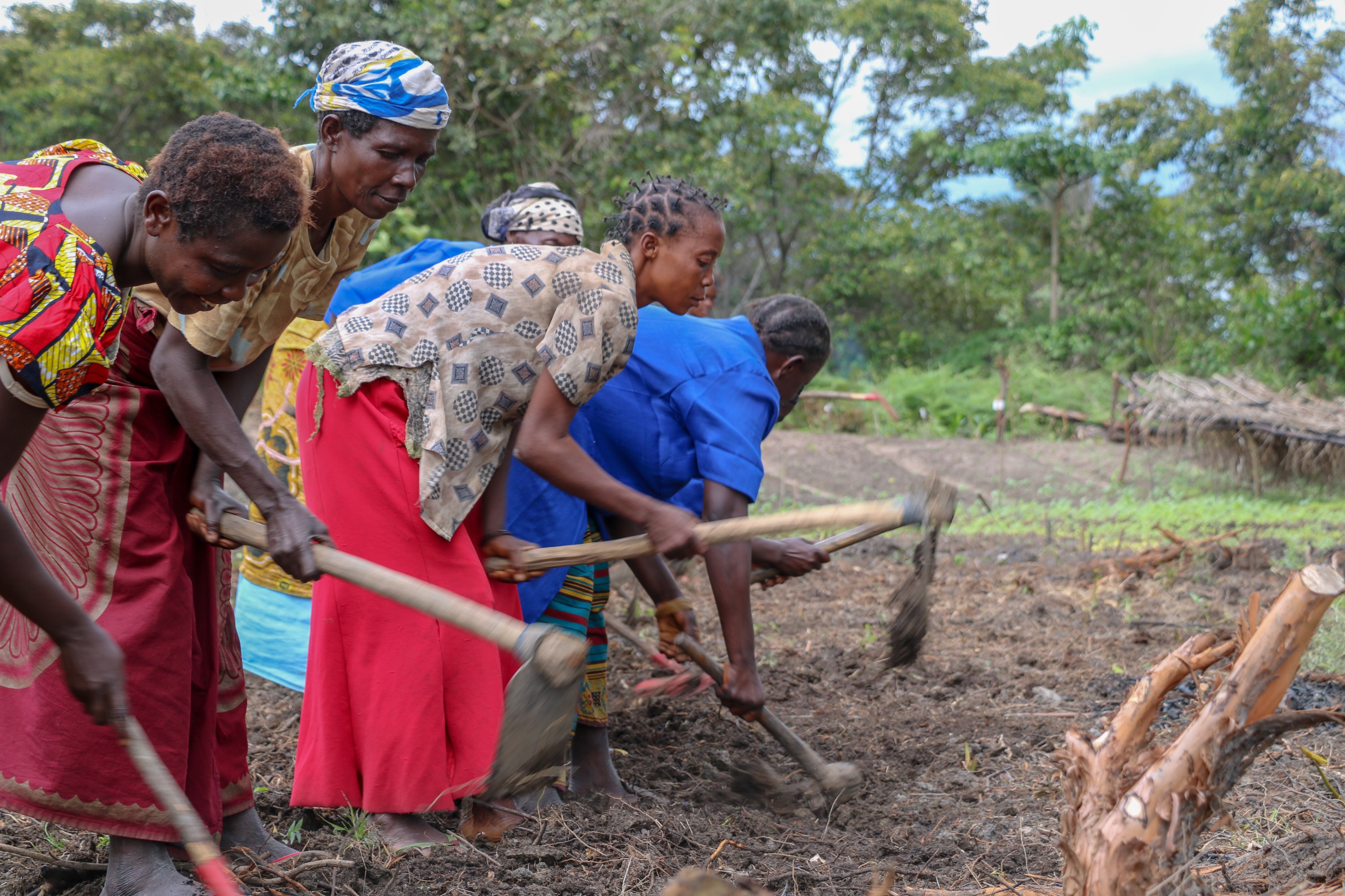 World Vision is supporting farmers to fight malnutrition in Kasai Central, DRC