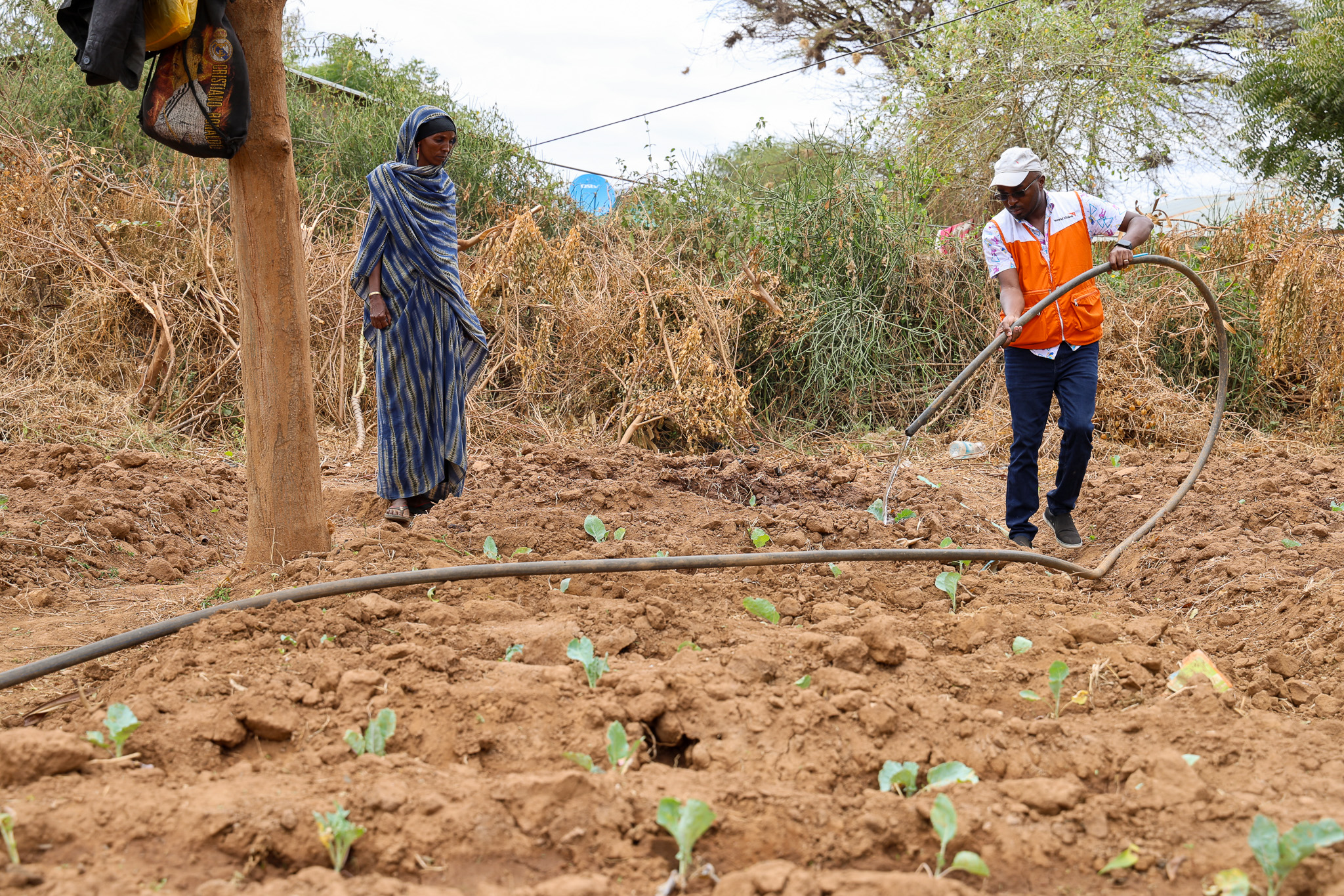 A World Vision Kenya staff helps Amina Mohamed water her vegetables. Amina draws water from the newly renovated Odda Water source in Moyale Sub-County, Marsabit County. © World Vision Kenya/Jared Ontobo