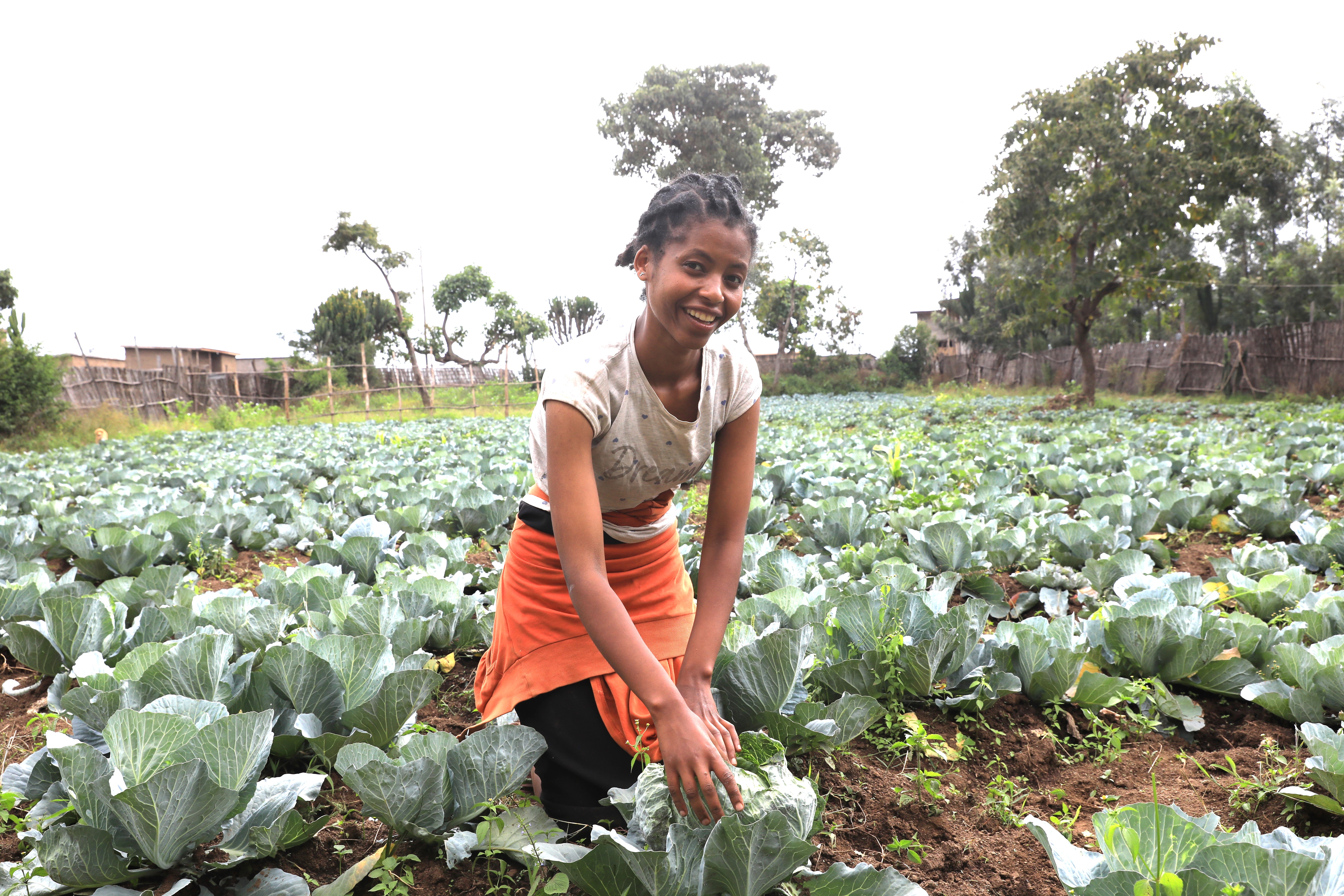 Tseganesh at her parent’s garden tending the vegetables.