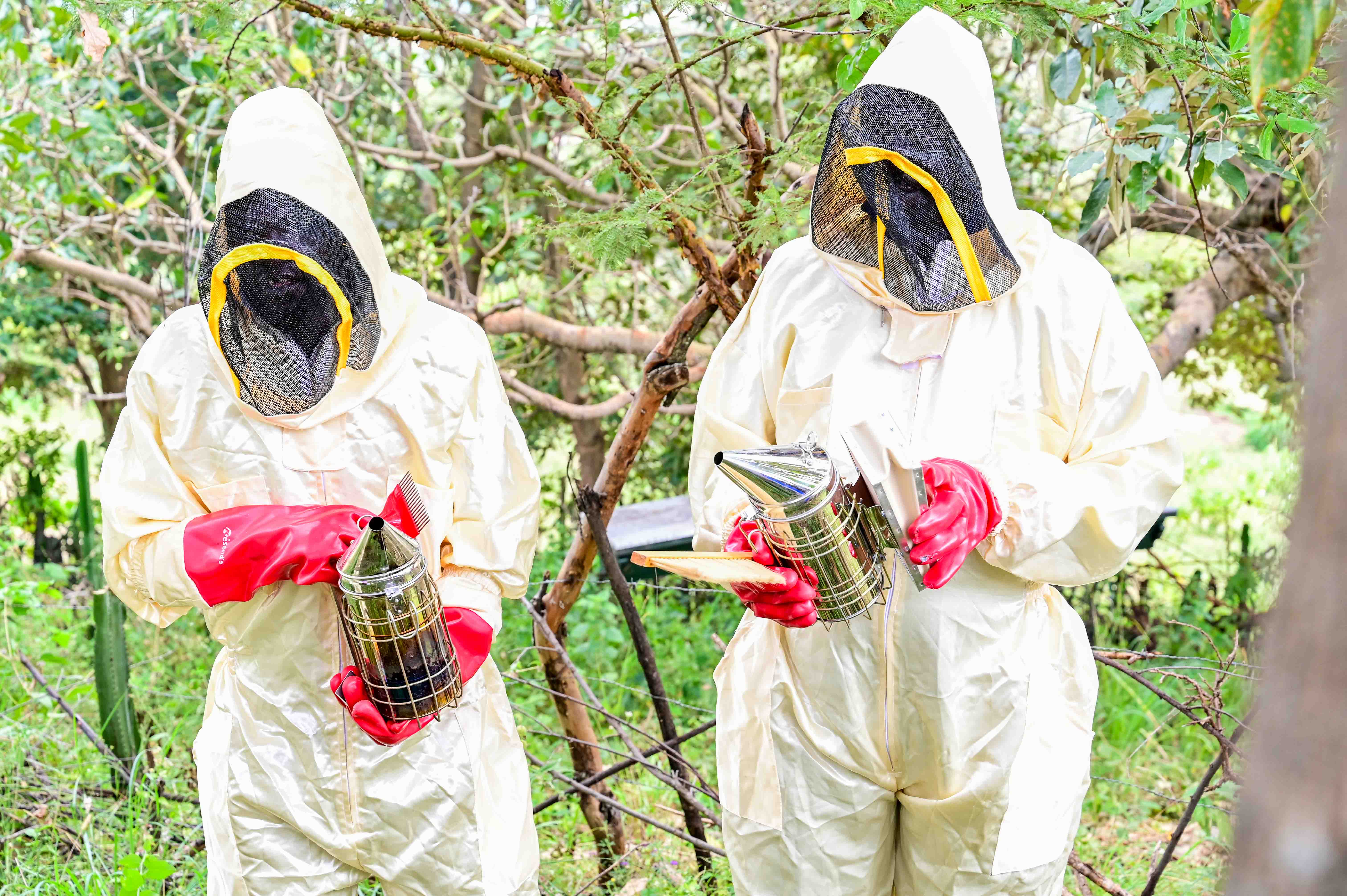 World Vision, through the CRIFSUP project, supported Richard and two other trained youth by providing them with honey harvesting equipment enabling them to harvest honey for farmers at a fee. ©World Vision Photo/ Hellen Owuor