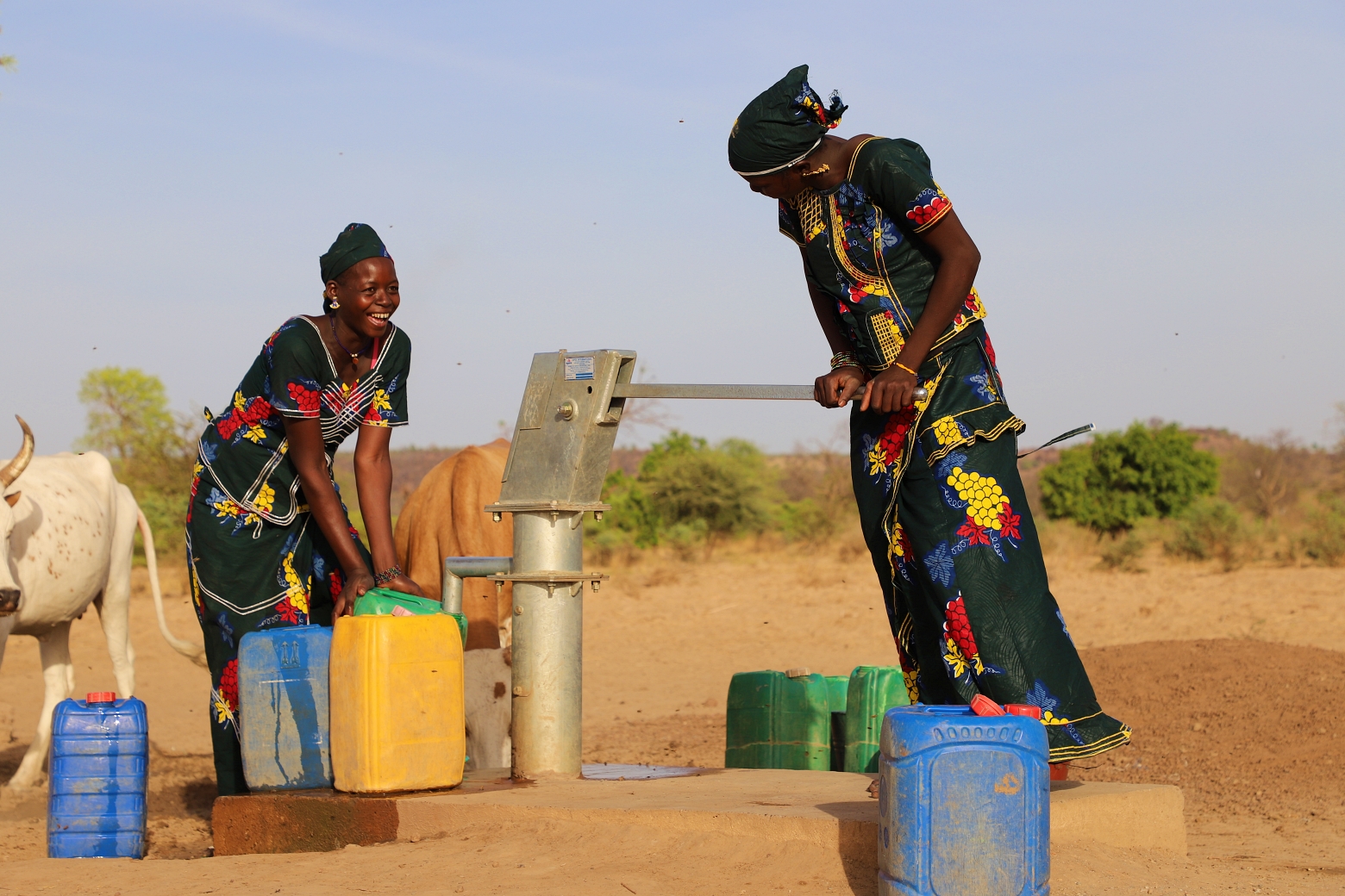 Today the women of Nafladiobougou have safe access to potable water!