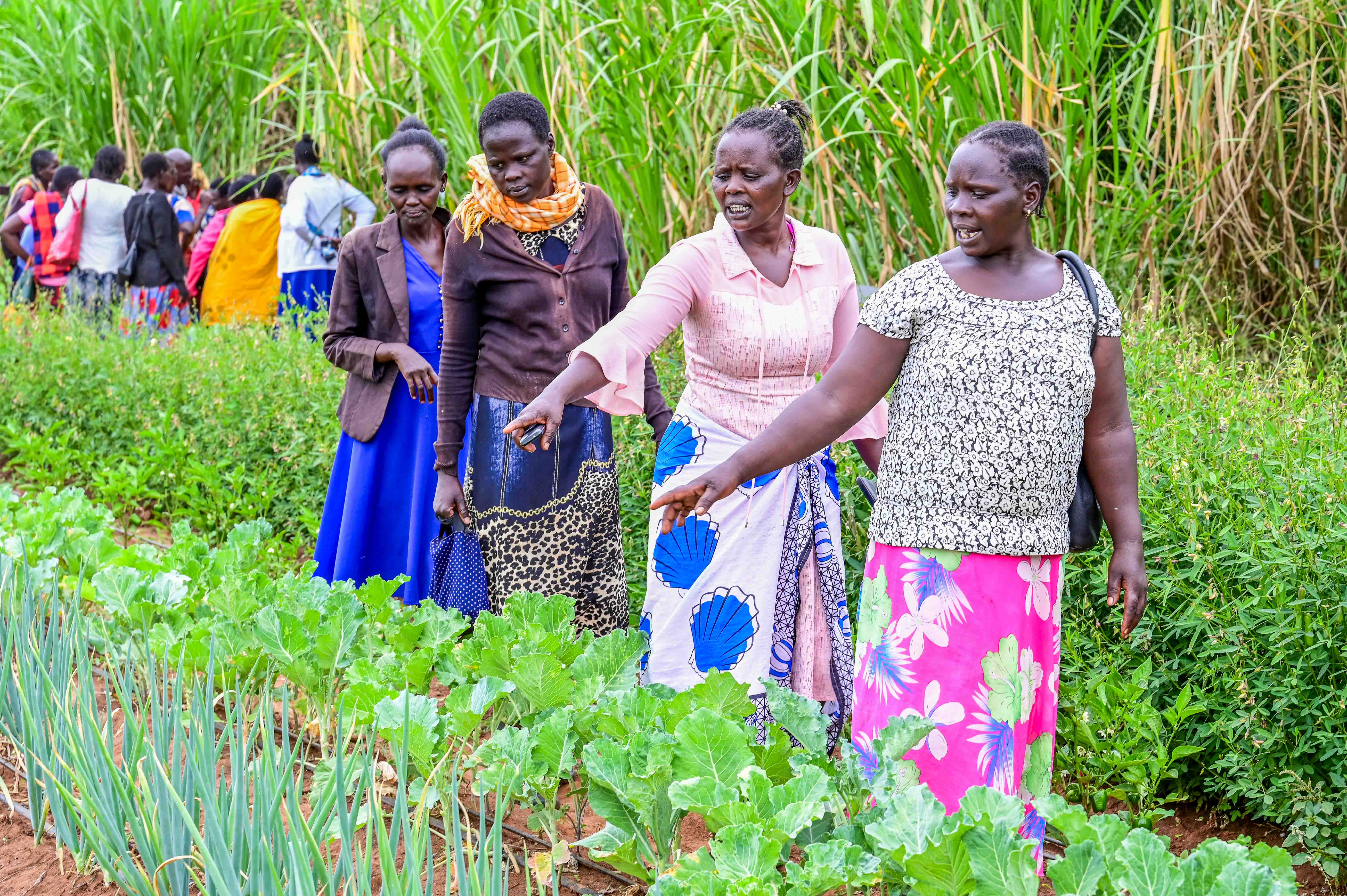 Julius neighbours now purchase vegetables from his farm. ©World Vision Photo/ Hellen Owuor