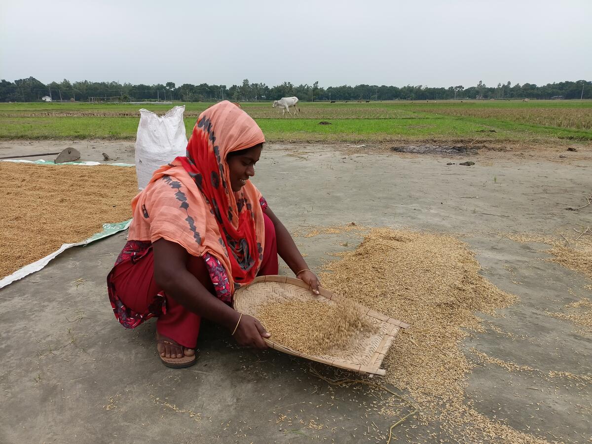 Above:  Moni, 29, who cultivates a high yielding variety of rice, cleans it in a traditional way. She is a member of a producer group based in the Jamalpur Sadar, Bangladesh. / © World Vision