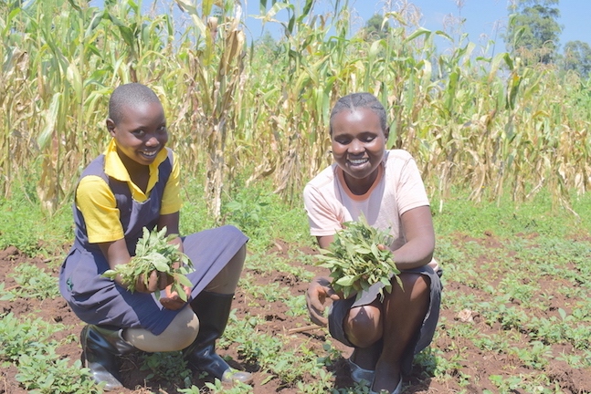 Cynthia, 16 (in yellow shirt) and her sister Hannah (26), harvesting vegetables planted in their farm.