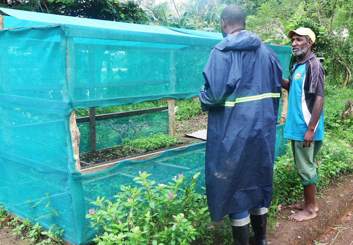 Empowered to become a Champion Farmer and Family Advocate through the Better & Enhanced Agriculture for Nutrition Project (BEAN) (4).JPG