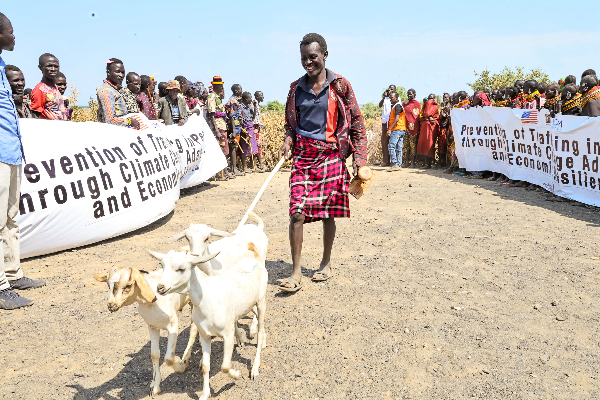 A joyful recipient proudly guides three newly received Galla goats.