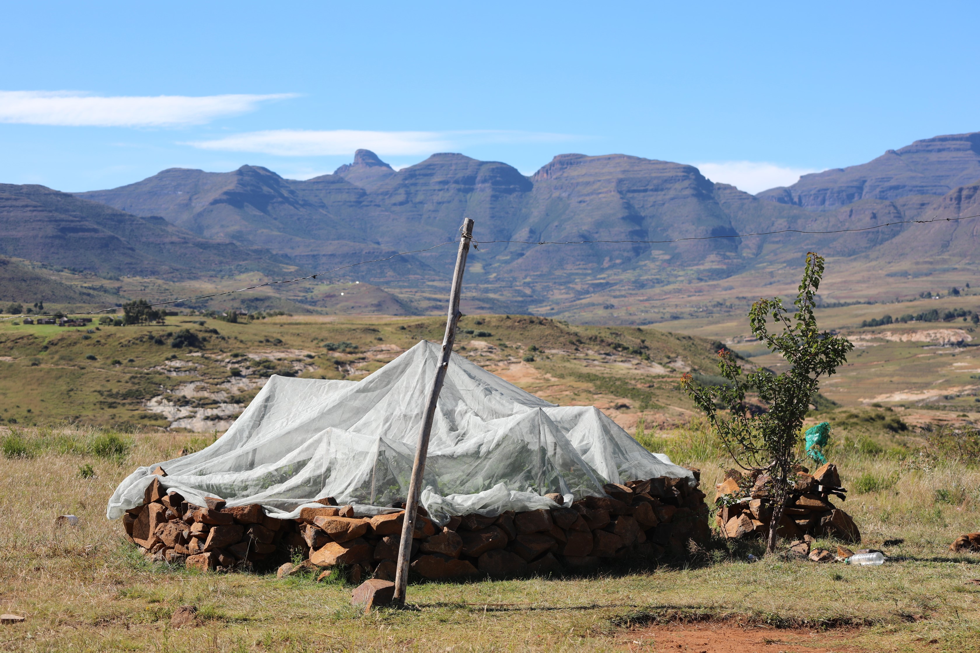 sustainable agriculture in the face of drought