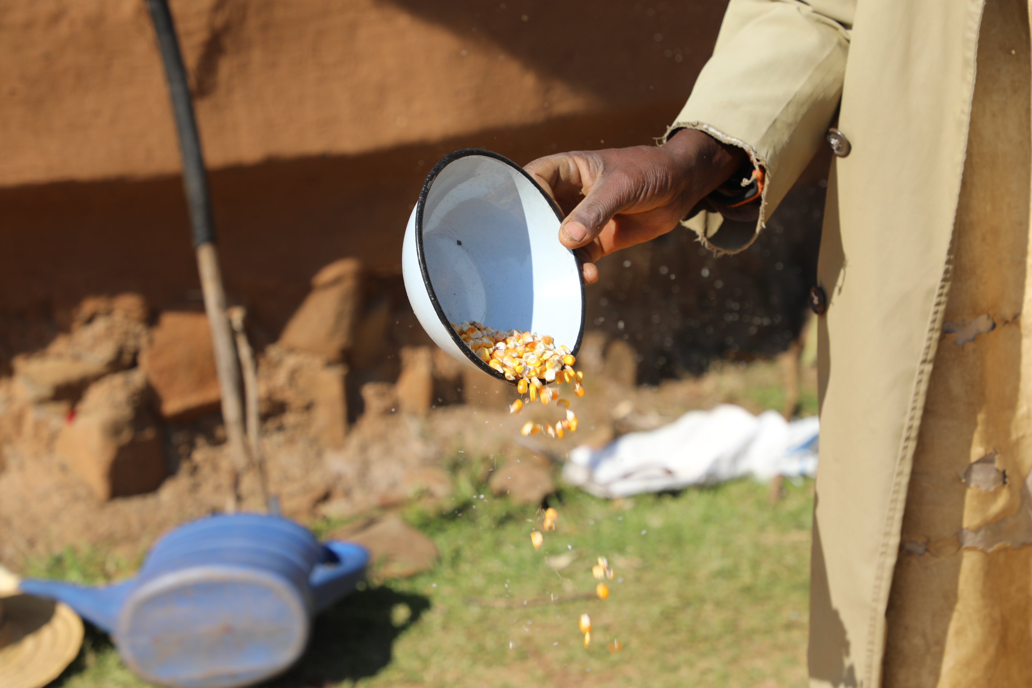 Food Insecurity Crisis in Lesotho