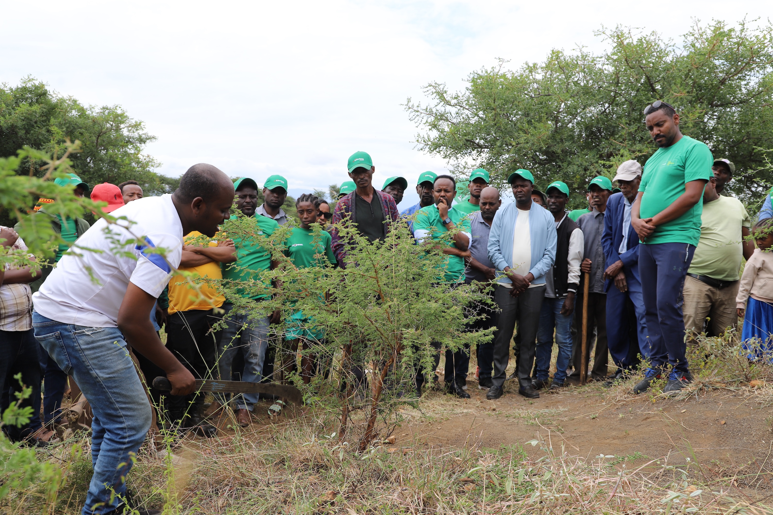 Matewos, demonstrating the FMNR practice to the visiting team