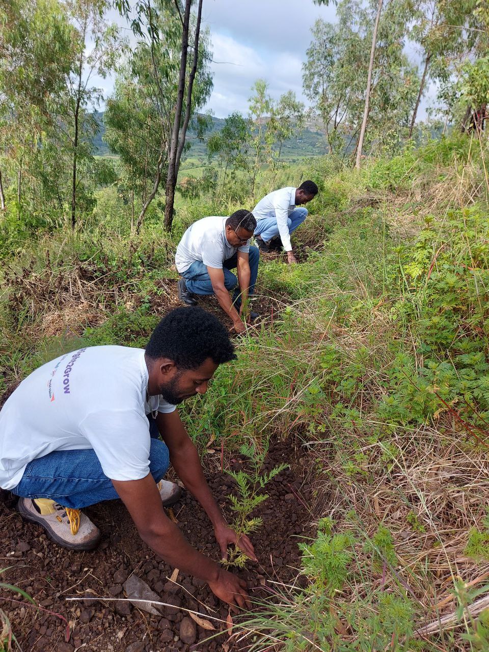 WVE Staff Planting