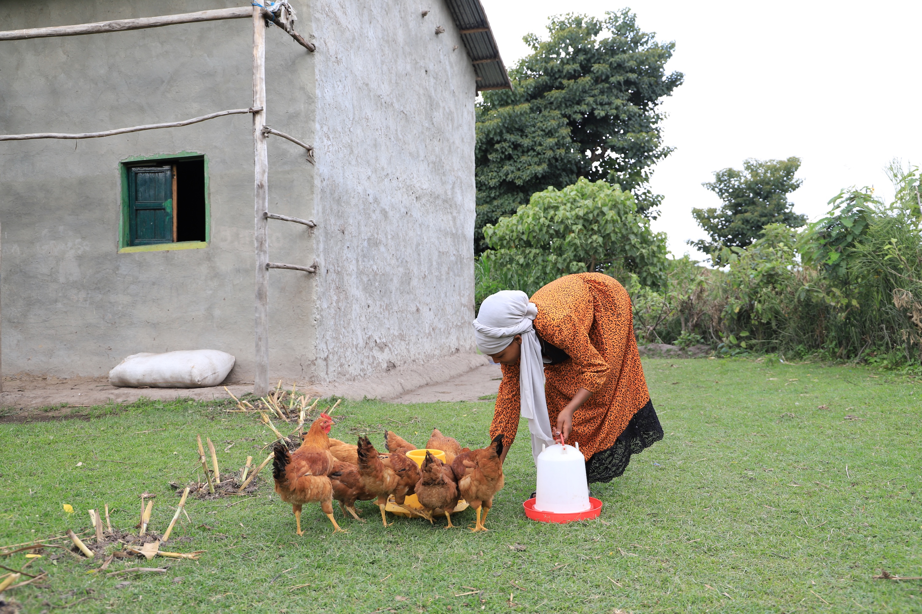 Zara tending to the chickens at home