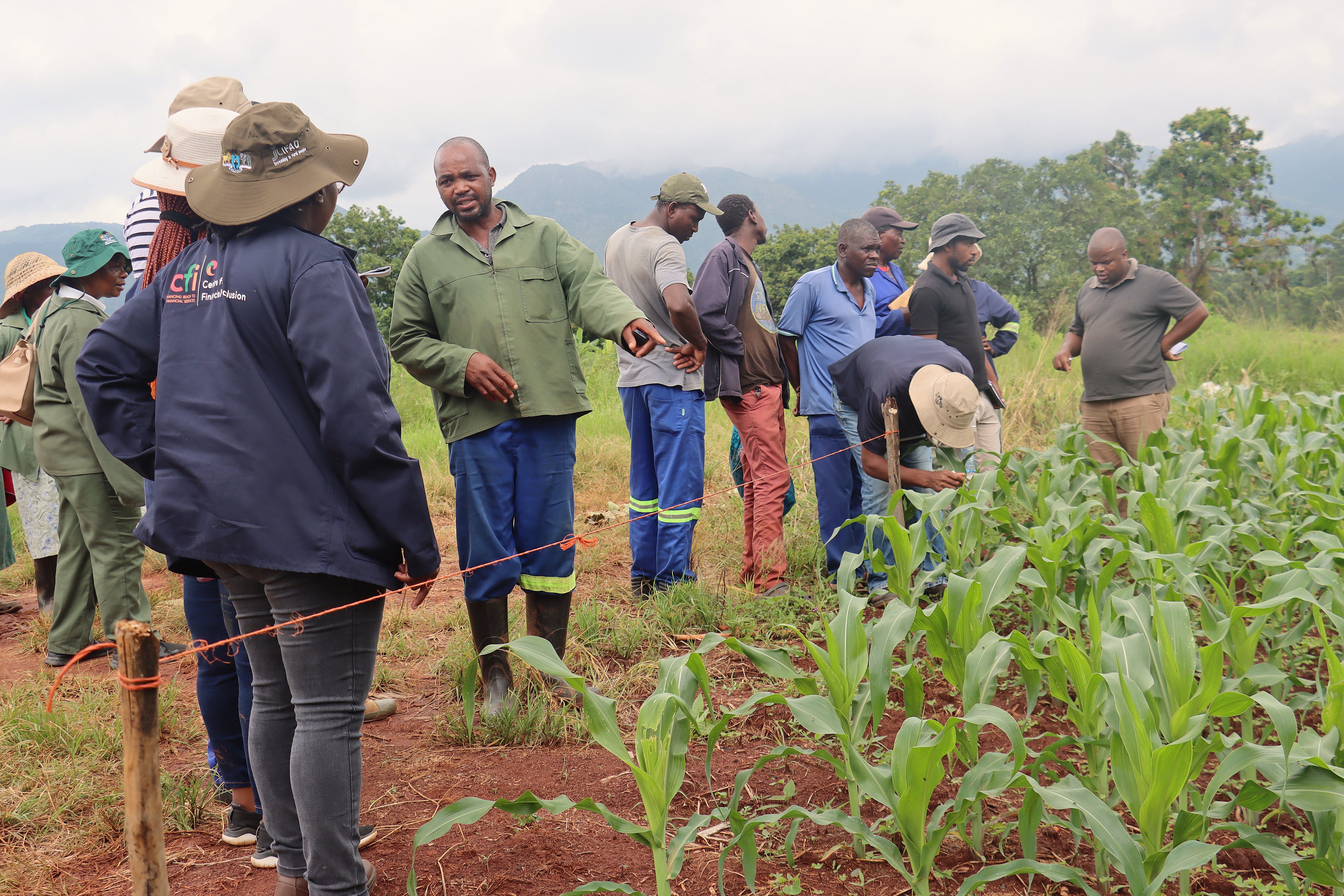 Farmers engaging with Extension Officers during a farmer field school session.