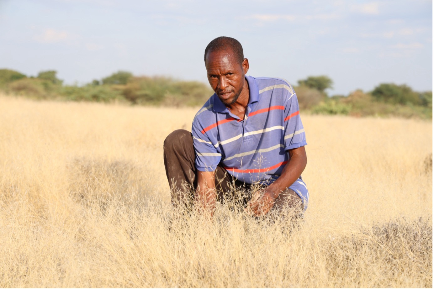 Through FMNR, Murunka has implemented land enclosure, enabling natural grass regeneration and providing enough pasture for his livestock. © World Vision Photo/Felix Pilipili