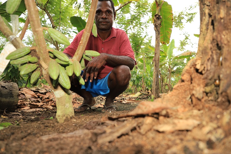 Raymond in his new cocoa block. He started transplanting the clone seedlings distributed by World Vision and he is looking forward to his first harvest. Picture: Steven Doe