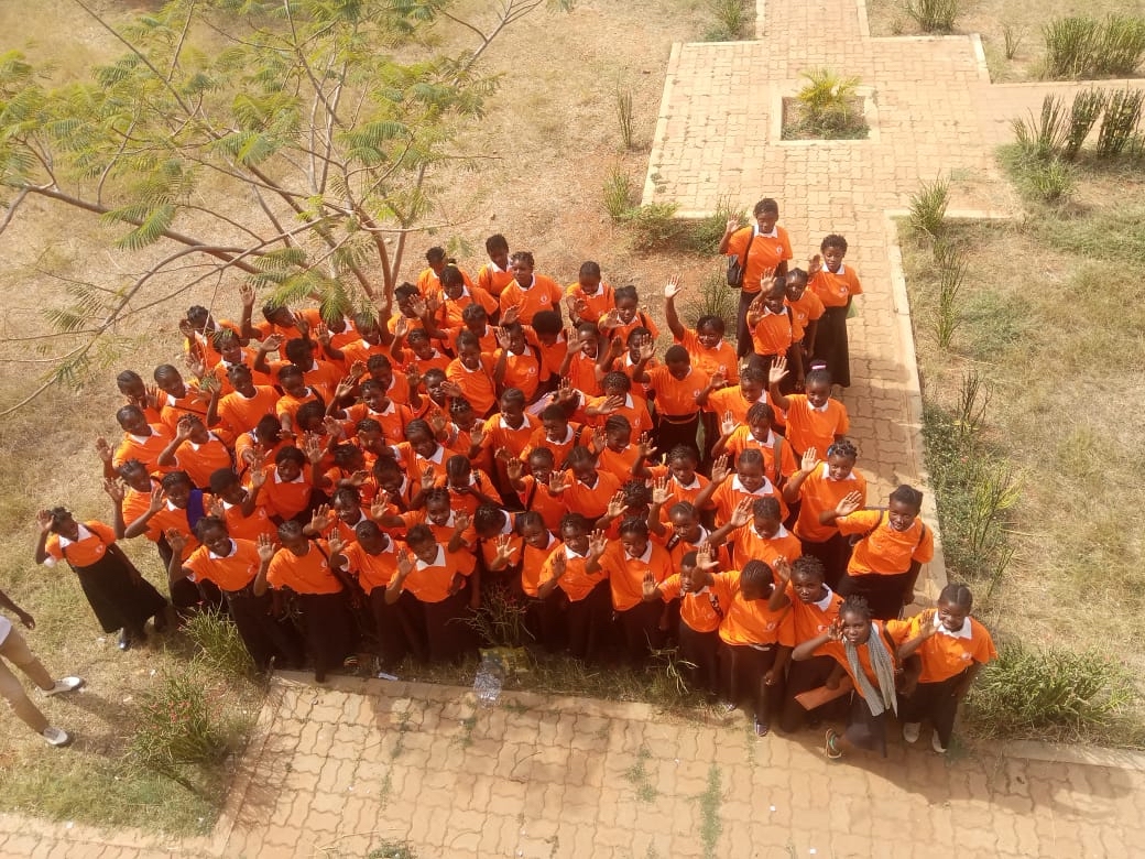 A group of adolescent girls photographed from an aerial view.