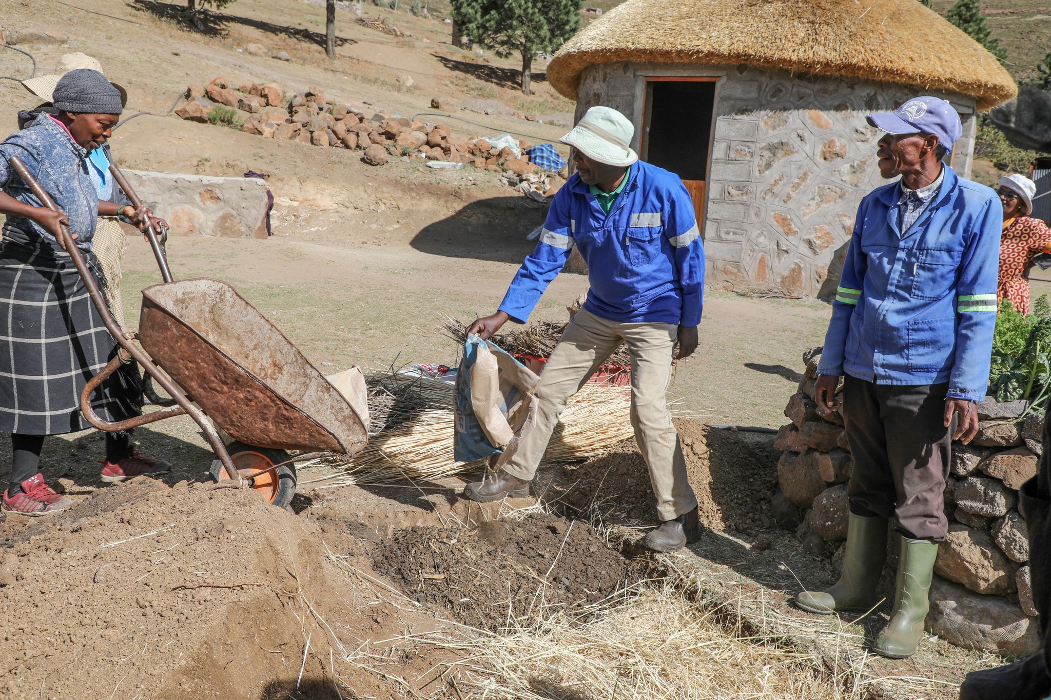 Climate smart Agriculture for resilience