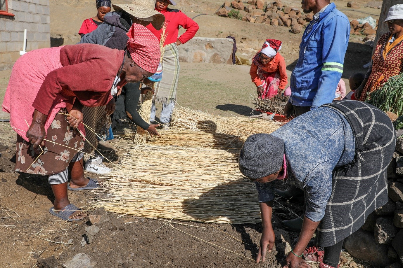 Climate smart Agriculture for resilience