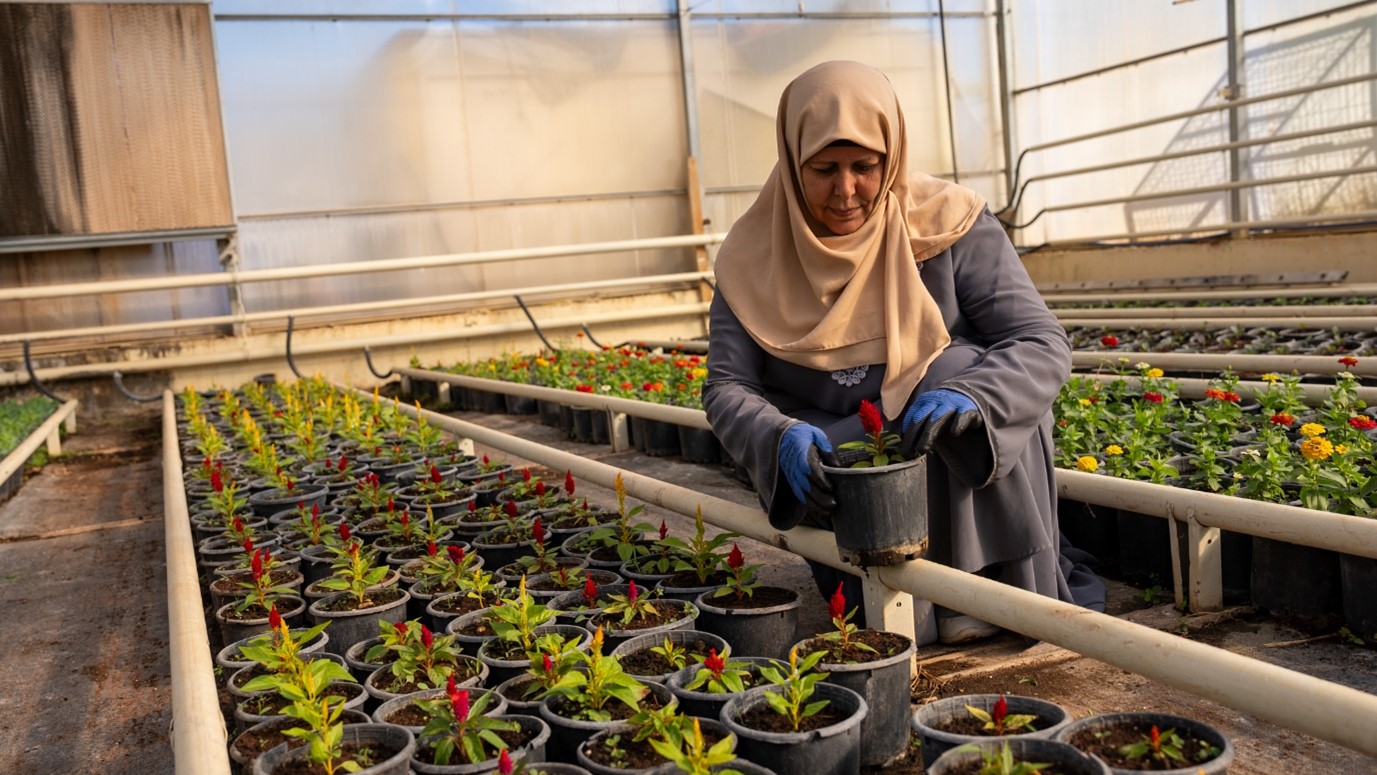 Fatima carefully checks on the flowers, putting into practice what she learned from her course, World Vision Syria Response–  Samer Asaid