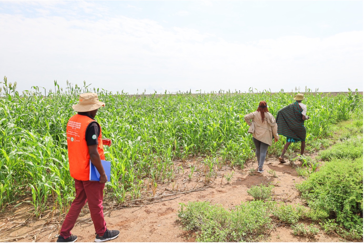 Epua hopes for a bumper harvest of sorghum, enough to feed his family and provide pasture for his animals. © World Vision Photo/Felix Pilipili