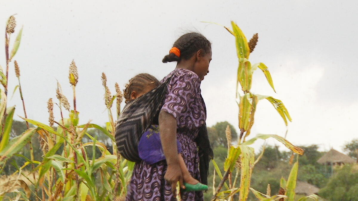 A woman with her baby among crops in the Amhara Region of Ethiopia.