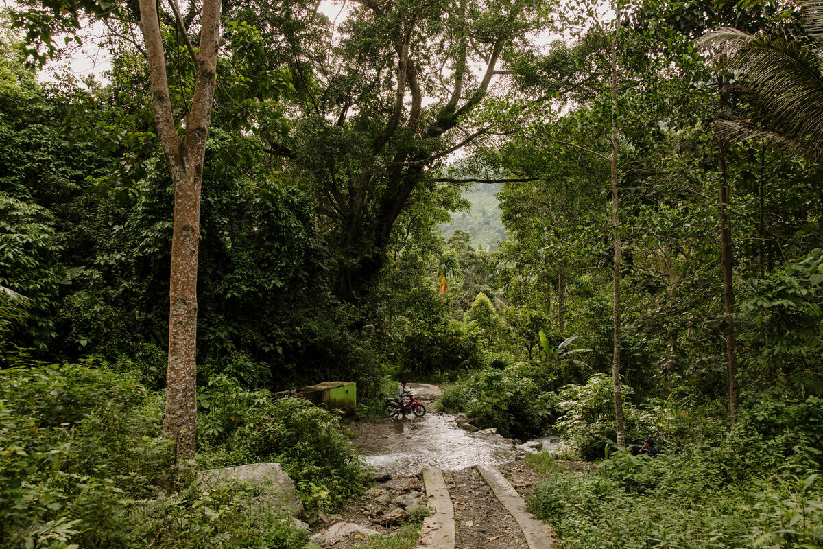 Landscape view in Indonesia