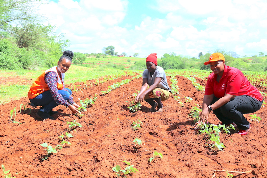 capacity building for farmers