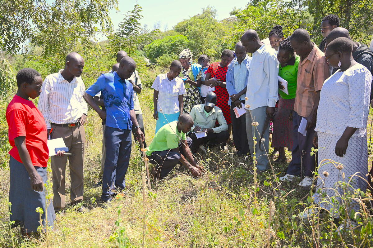 Farmers in Kenya learn how to prune trees as part of the FMNR regreening technique 