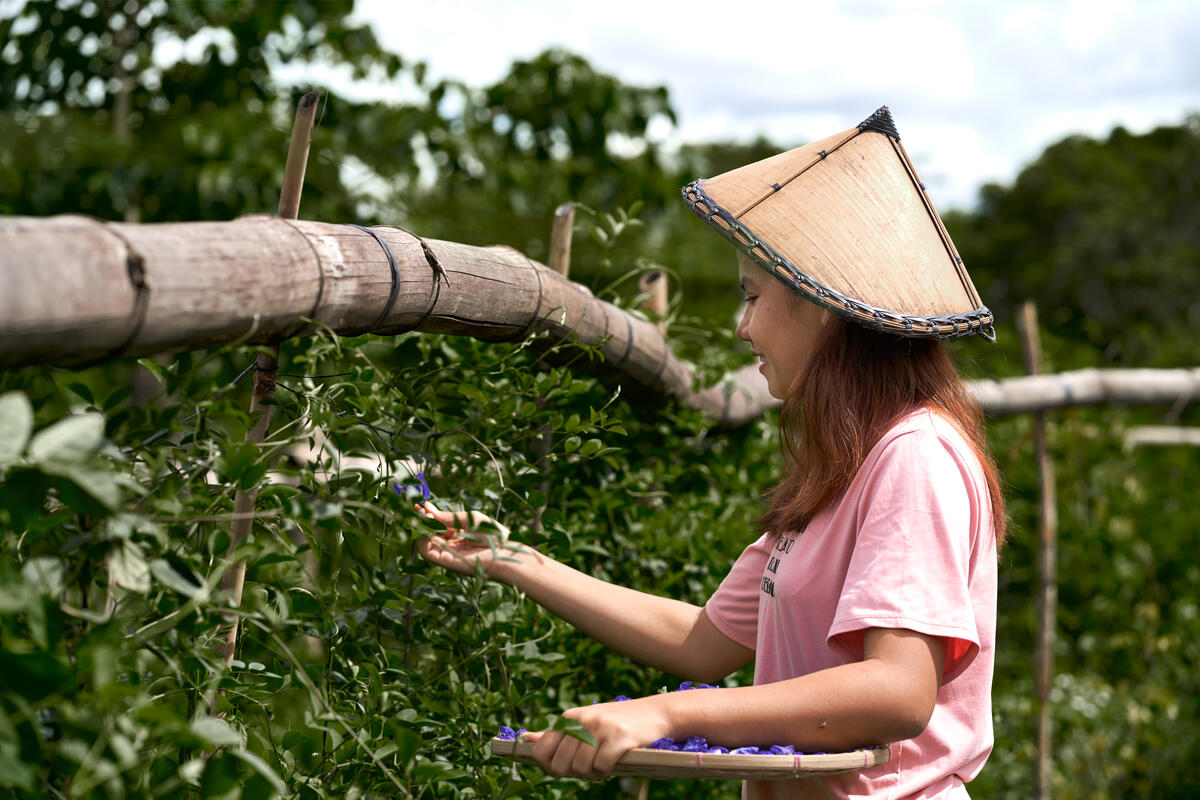 Sponsored child in Philippines harvests food and shares with her neighbours