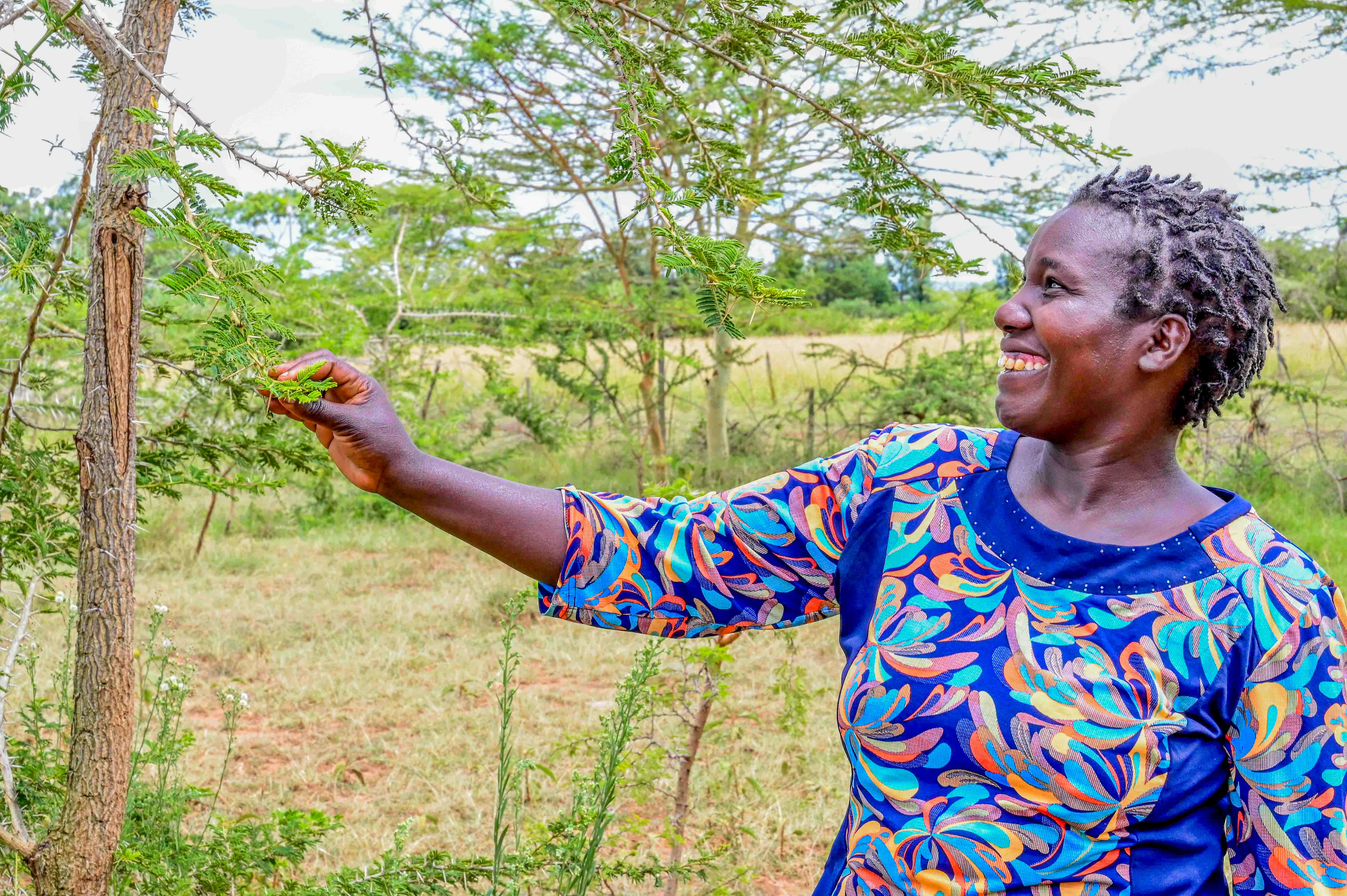 More than anything, Sally is happy about the financial freedom that practicing FMNR has offered her. © World Vision Photo/Hellen Owuor