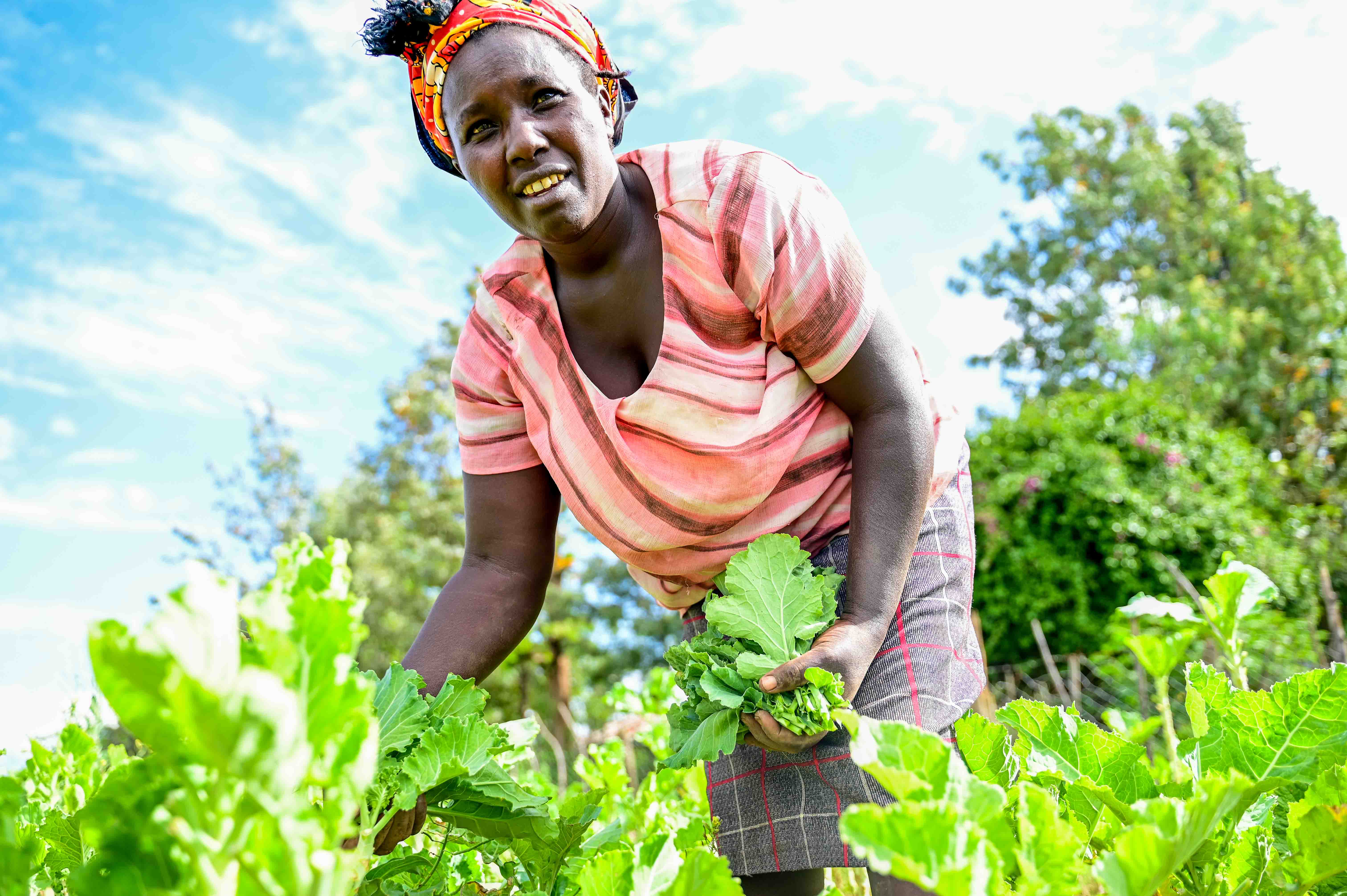 Sally makes at least 3,000 KES (23.01 USD) a month from selling kales and spinach alone. © World Vision Photo/ Hellen Owuor.