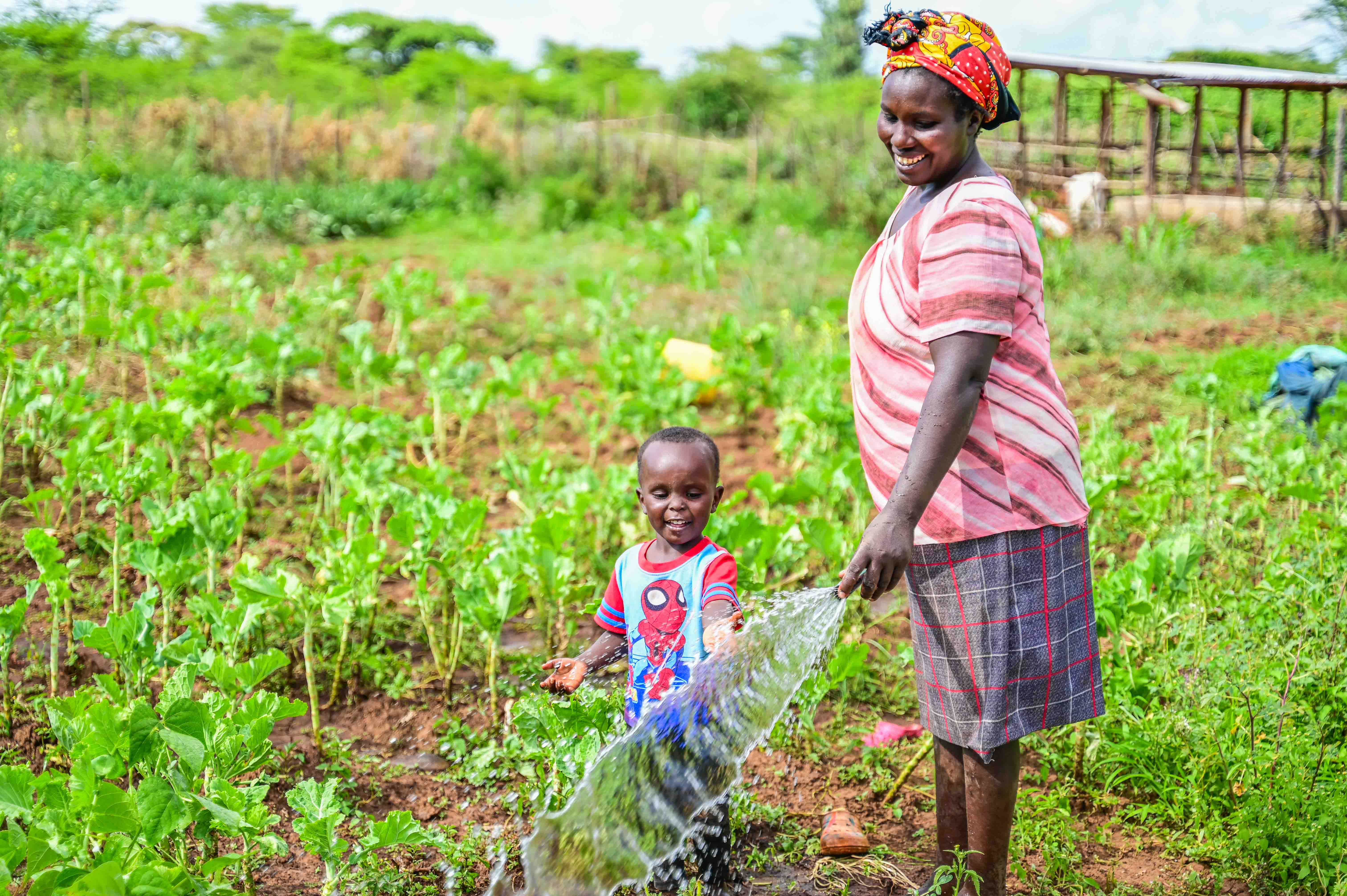 Sally irrigates her crops using water drawn from a well in her land. © World Vision Photo/Hellen Owuor.