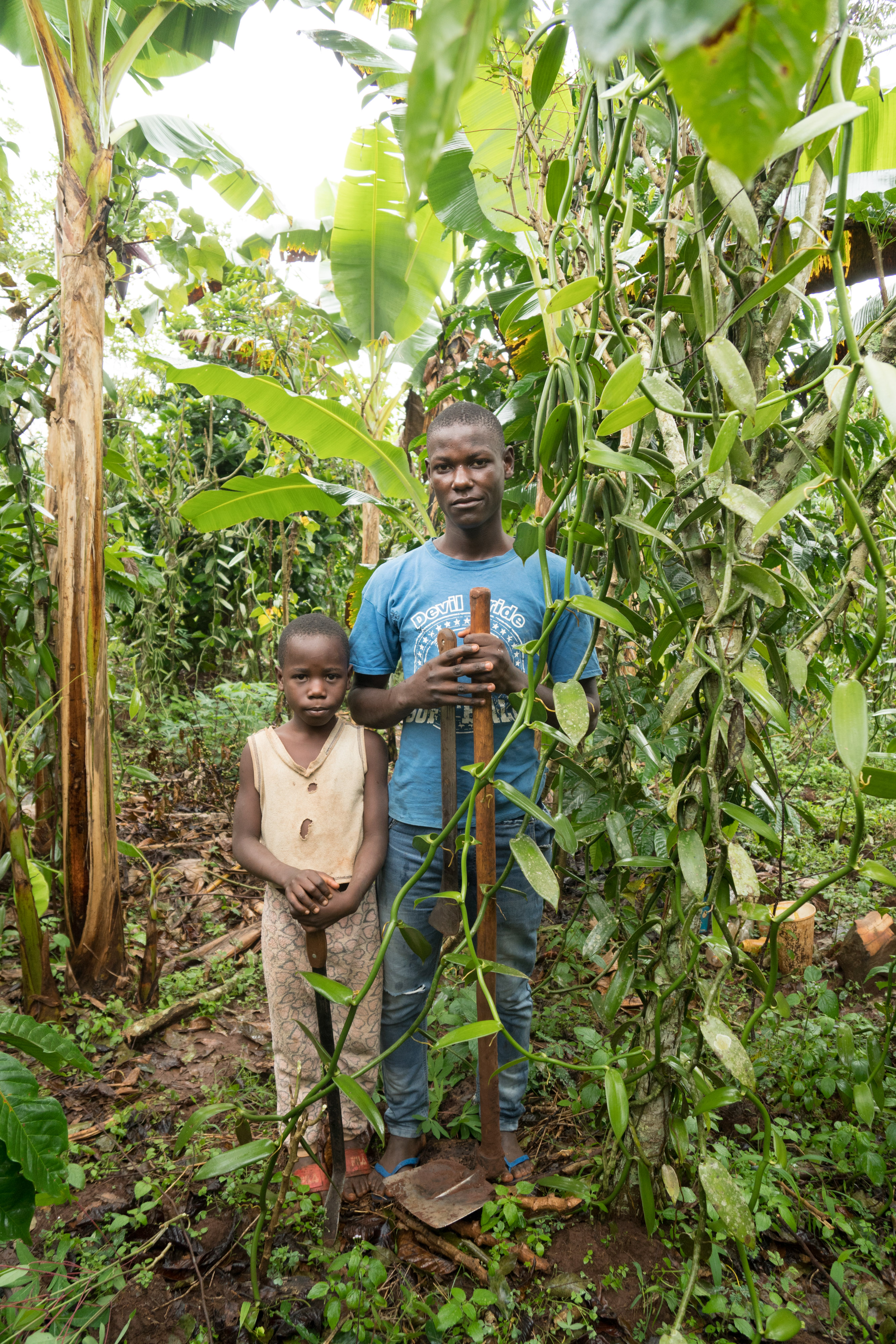 Peter, 17, and Rahmad 8 stand near the vanilla vines.