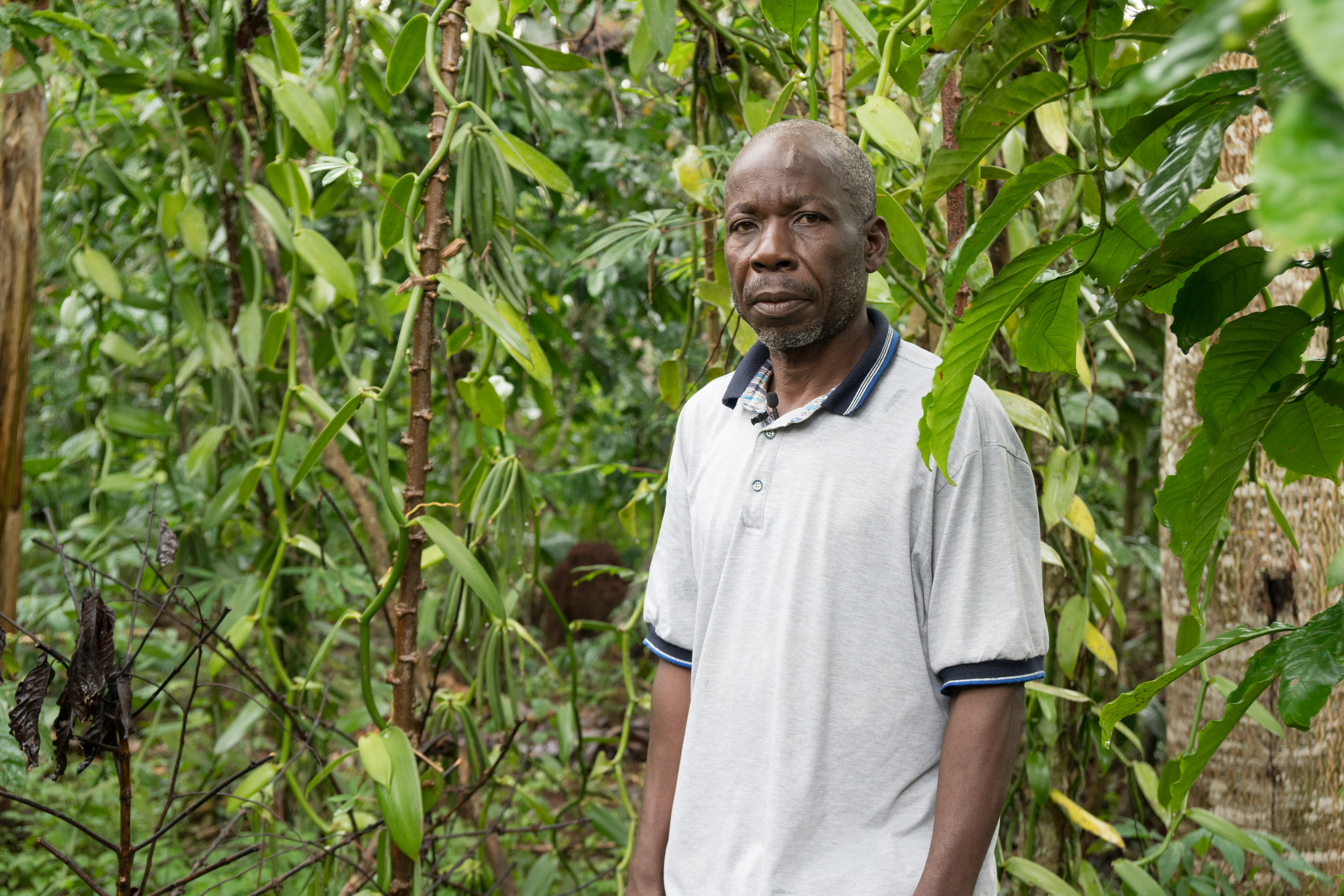 Peter, a vanilla farmer in Ngogwe, Uganda stands amongst his vines.